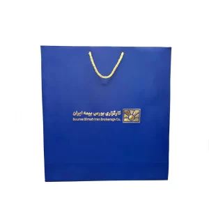 shopping bag1